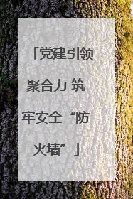 党建引领聚合力 筑牢安全“防火墙”