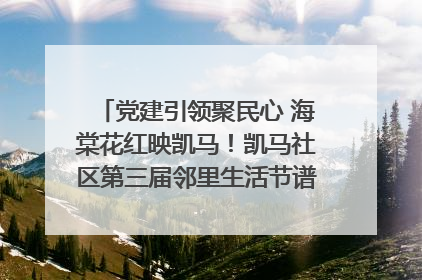 党建引领聚民心 海棠花红映凯马！凯马社区第三届邻里生活节谱写幸福新篇章