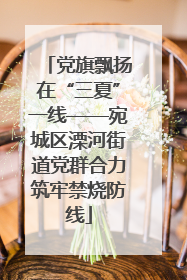 党旗飘扬在“三夏”一线——宛城区溧河街道党群合力筑牢禁烧防线