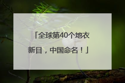 全球第40个地衣新目，中国命名！