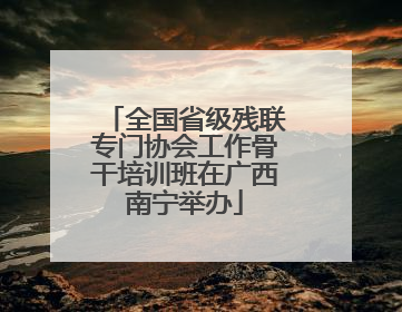 全国省级残联专门协会工作骨干培训班在广西南宁举办
