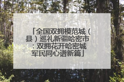 全国双拥模范城（县）巡礼新疆哈密市：双拥花开哈密城 军民同心谱新篇