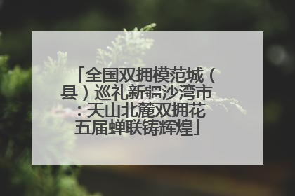 全国双拥模范城（县）巡礼新疆沙湾市：天山北麓双拥花 五届蝉联铸辉煌