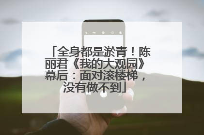 全身都是淤青！陈丽君《我的大观园》幕后：面对滚楼梯，没有做不到