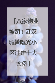 八家物业被罚！武汉城管曝光小区违建十大案例