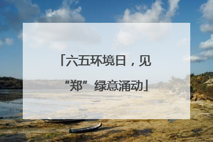 六五环境日，见“郑”绿意涌动
