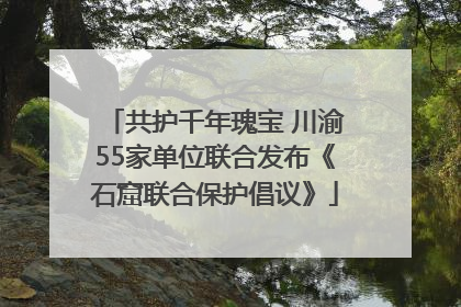 共护千年瑰宝 川渝55家单位联合发布《石窟联合保护倡议》