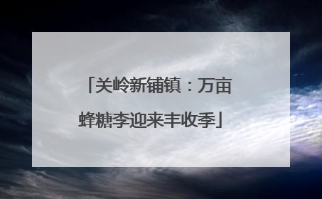 关岭新铺镇：万亩蜂糖李迎来丰收季