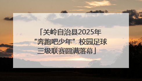 关岭自治县2025年“奔跑吧少年”校园足球三级联赛圆满落幕