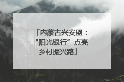 内蒙古兴安盟：“阳光银行”点亮乡村振兴路