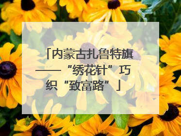 内蒙古扎鲁特旗——“绣花针”巧织“致富路”