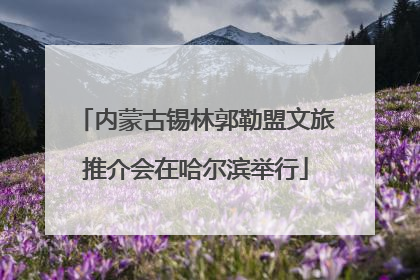 内蒙古锡林郭勒盟文旅推介会在哈尔滨举行