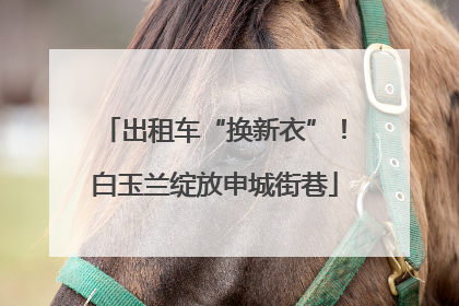 出租车“换新衣”！白玉兰绽放申城街巷