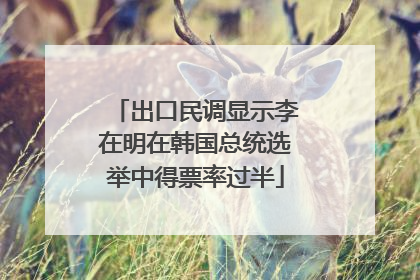出口民调显示李在明在韩国总统选举中得票率过半