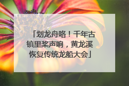 划龙舟咯！千年古镇里桨声响，黄龙溪恢复传统龙船大会