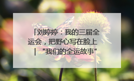 刘婷婷：我的三届全运会，把野心写在脸上｜“我们的全运故事”全民征文大赛