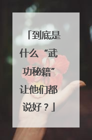 到底是什么“武功秘籍”让他们都说好？