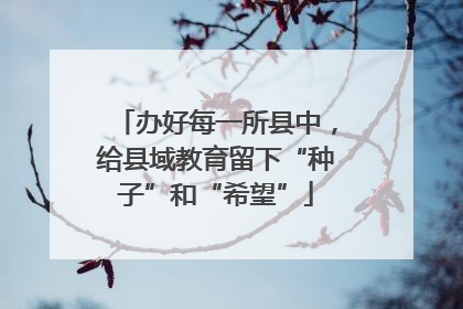 办好每一所县中，给县域教育留下“种子”和“希望”