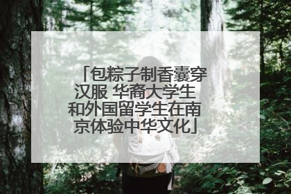 包粽子制香囊穿汉服 华裔大学生和外国留学生在南京体验中华文化