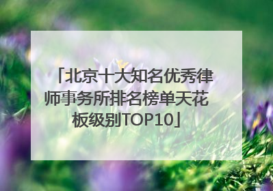 北京十大知名优秀律师事务所排名榜单天花板级别TOP10