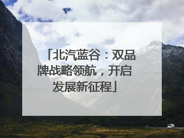 北汽蓝谷：双品牌战略领航，开启发展新征程