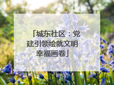 城东社区：党建引领绘就文明幸福画卷