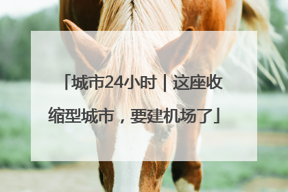 城市24小时｜这座收缩型城市，要建机场了