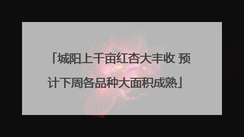 城阳上千亩红杏大丰收 预计下周各品种大面积成熟