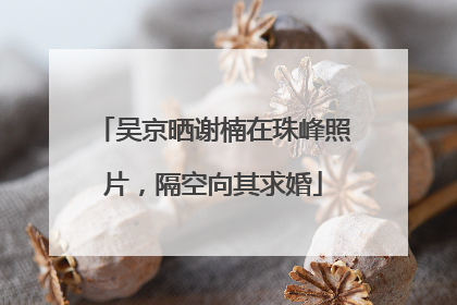 吴京晒谢楠在珠峰照片，隔空向其求婚