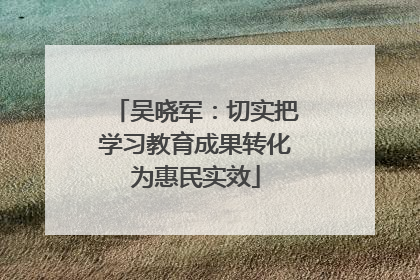吴晓军：切实把学习教育成果转化为惠民实效