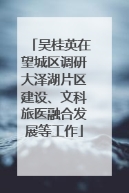 吴桂英在望城区调研大泽湖片区建设、文科旅医融合发展等工作