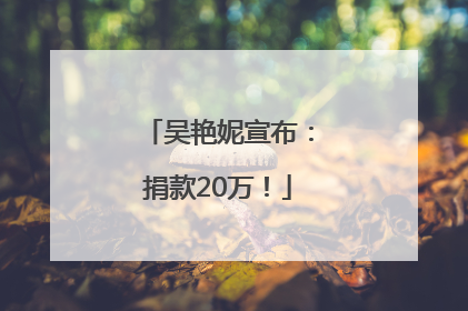 吴艳妮宣布：捐款20万！
