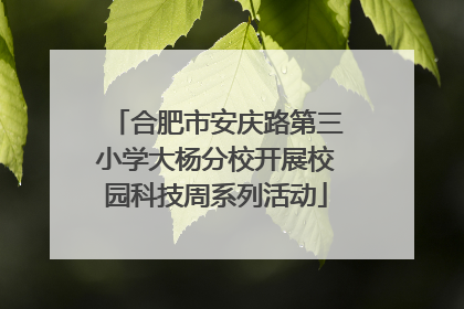 合肥市安庆路第三小学大杨分校开展校园科技周系列活动