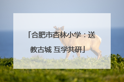 合肥市杏林小学：送教古城 互学共研