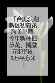 合肥滨湖新区初夏花海美出圈 今年新种植草花、播撒花籽约6.5万平方米