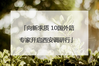 向新求质 10国外籍专家开启西安调研行
