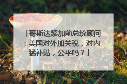 哥斯达黎加前总统顾问：美国对外加关税，对内猛补贴，公平吗？