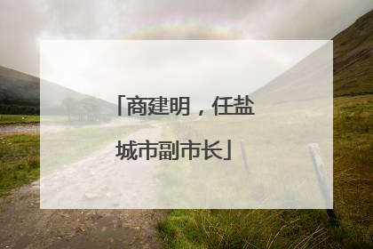 商建明，任盐城市副市长