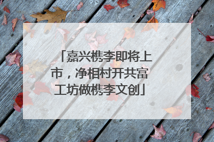 嘉兴槜李即将上市，净相村开共富工坊做槜李文创