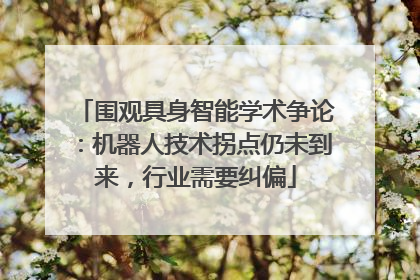 围观具身智能学术争论：机器人技术拐点仍未到来，行业需要纠偏