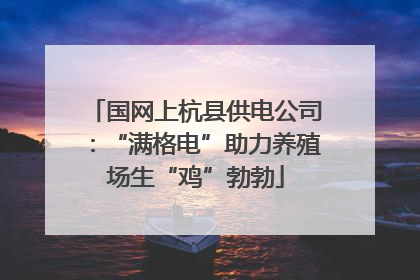 国网上杭县供电公司：“满格电”助力养殖场生“鸡”勃勃