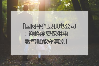 国网平舆县供电公司：迎峰度夏保供电  数智赋能守清凉