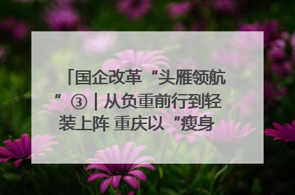 国企改革“头雁领航”③｜从负重前行到轻装上阵 重庆以“瘦身”谋“健体”