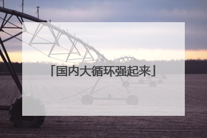 国内大循环强起来