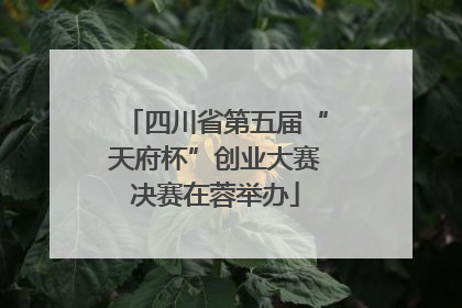 四川省第五届“天府杯”创业大赛决赛在蓉举办