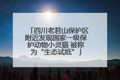 四川老君山保护区附近发现国家一级保护动物小灵猫 被称为“生态试纸”