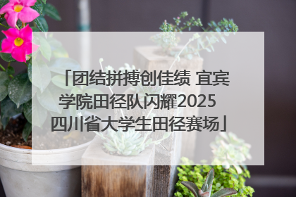 团结拼搏创佳绩 宜宾学院田径队闪耀2025四川省大学生田径赛场