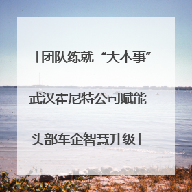 团队练就“大本事” 武汉霍尼特公司赋能头部车企智慧升级
