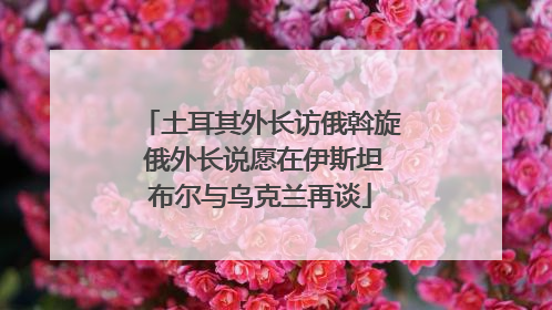土耳其外长访俄斡旋 俄外长说愿在伊斯坦布尔与乌克兰再谈