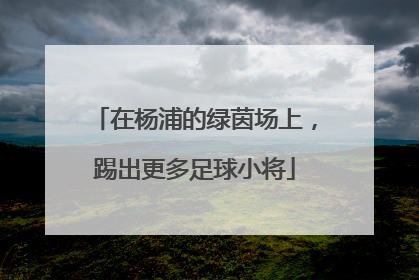 在杨浦的绿茵场上，踢出更多足球小将